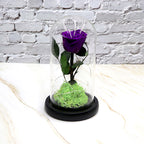 Creative Fashion Flower Decoration Gifts